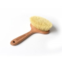 Dry Body Brush with Long Cactus Bristles & Handle